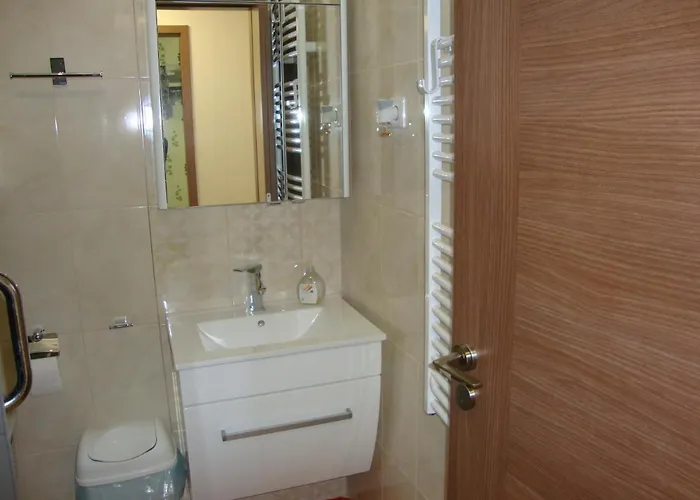 Viola Harmony 希欧福克